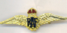 RAF Sweetheart Brooch - Gold